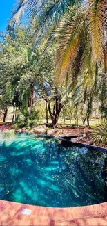 Tropical oasis with palm trees and a tranquil reflective pool.