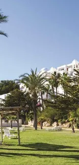 Lush tropical resort with palm trees and white buildings in the background.