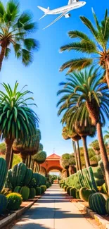 Tropical oasis with palm trees, blue sky, and a soaring jet.