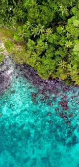 Aerial view of a lush tropical coastline with crystal-clear ocean waters.