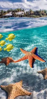 Colorful starfish and fish in a tropical beach scene.