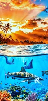 Tropical ocean sunset with vibrant marine life and coral reef