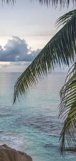 Tropical beach scene with palm trees and ocean view, perfect for a serene mobile wallpaper.