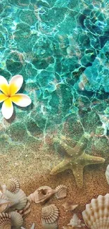 Tropical ocean view with seashells and flower on sand background.