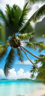 Tropical palm trees over a serene beach scene.