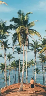 Scenic view of a tropical beach with palm trees and ocean.