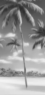 Black and white tropical beach with palm trees and serene coastline.