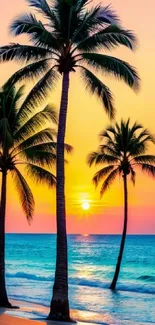 Tropical beach sunset with palm trees and vibrant skies.