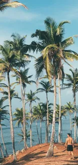 Tropical palm trees on a beach with a calm ocean view.