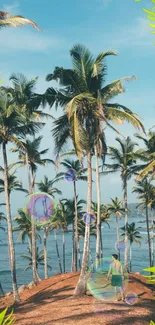 Tropical beach scene with palms and ocean view.