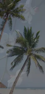 Tropical beach wallpaper with palm trees swaying under a vibrant blue sky.