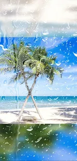 Tropical beach scene with palm trees and blue ocean view.