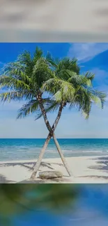 Tropical beach with palm trees under a bright blue sky.