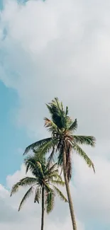 Palm trees under a blue sky with clouds, perfect for a serene mobile wallpaper.