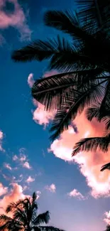 Tropical sunset with palm tree silhouettes and colorful sky.