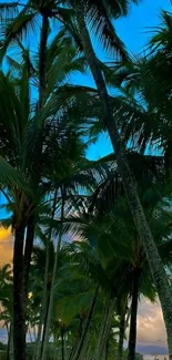 Tropical palm trees at sunset with vibrant sky and greenery.