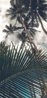 Palm trees against a cloudy sky create a tropical mobile wallpaper.