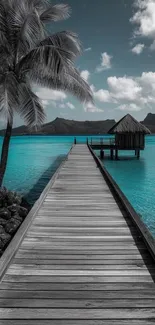 Tropical beach with a pier and palm trees under blue sky.