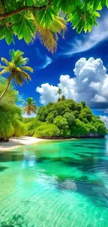 Tropical beach with palm trees and turquoise water under a blue sky.