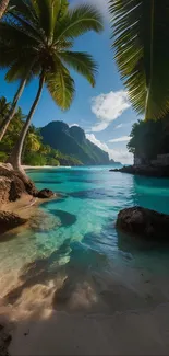 Scenic tropical beach with turquoise waters and palm trees.
