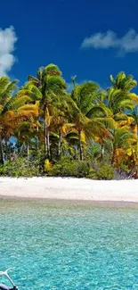 Tropical beach with palm trees and clear blue waters under sunny skies.