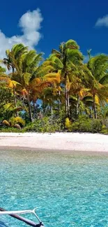 Tropical beach with palm trees and turquoise water under a blue sky.