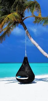 Tropical beach scene with palm tree and hammock.