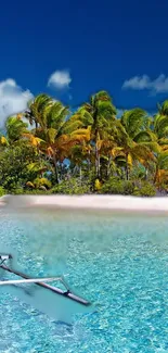 Tropical beach scene with clear waters and palm trees.