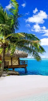 Beach with palm trees and turquoise water under a clear blue sky.