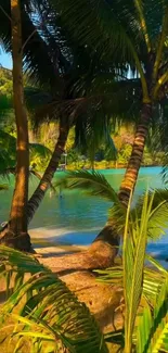Tropical paradise with palms and clear water.