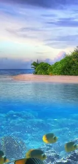 Tropical island with clear ocean and fish swimming underwater.