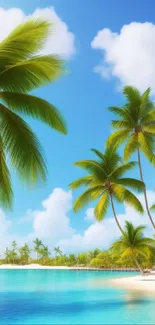 Tropical landscape with palm trees and turquoise water under a blue sky.