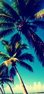 Vibrant tropical wallpaper with lush palm trees and a serene beach background.