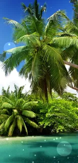 Tropical beach with palm trees and clear blue waters.