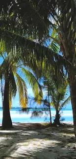 Tropical beach with palm trees and blue sky mobile wallpaper.