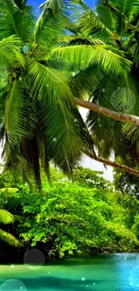 Lush tropical paradise with palm trees and clear blue water under a sunny sky.