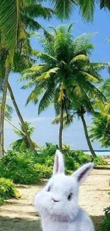A cute rabbit in a tropical palm tree landscape on a sunny beach.