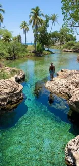 Tropical paradise stream with lush greenery and clear waters.