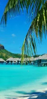 Tropical beach with turquoise water and overwater bungalows.