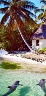 Tropical beach with dolphins and palm trees near hut