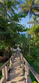 Serene wooden pathway amidst tropical greenery under clear blue skies.