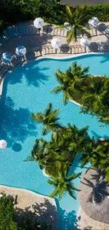 Aerial view of a tropical pool and lush greenery.