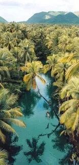 A tropical river flows through lush palm trees under a cloudy sky.