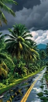 Lush tropical road with palm trees under stormy skies.