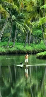 Lush tropical scene with palm trees and calm water reflection.