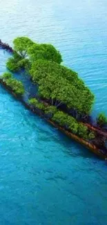 A shipwreck covered in green foliage amidst turquoise ocean waters.