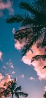 Palm trees silhouetted against a vibrant sunset sky.