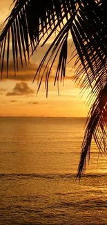 Tropical sunset with palm trees over an ocean view.