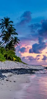 Tropical beach at sunset with palm trees and vibrant sky.