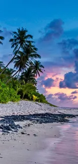 Stunning tropical sunset over a serene beach, perfect for mobile wallpaper.